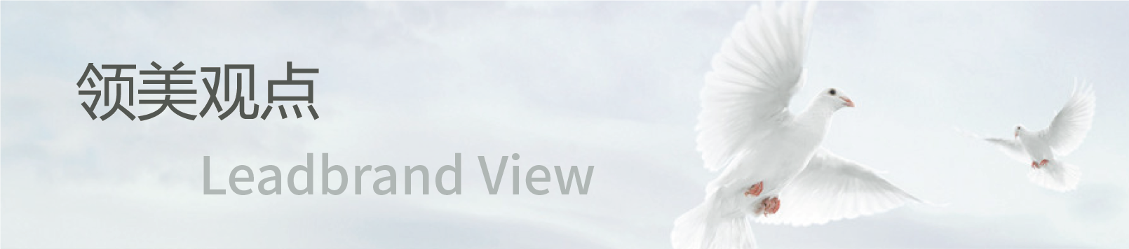 领美观点